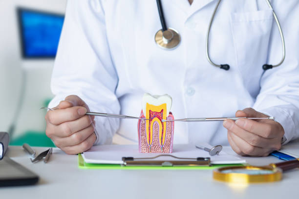 Best Emergency Tooth Extraction in Stigler, OK